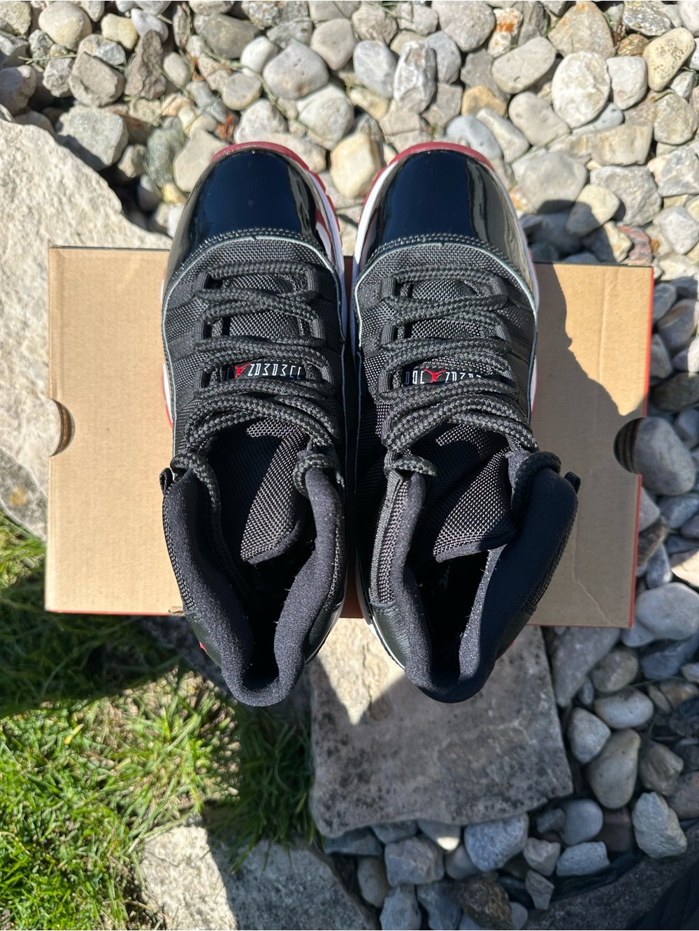 Air Jordan Retro 11 (GS) Black and Red High-Top Sneakers